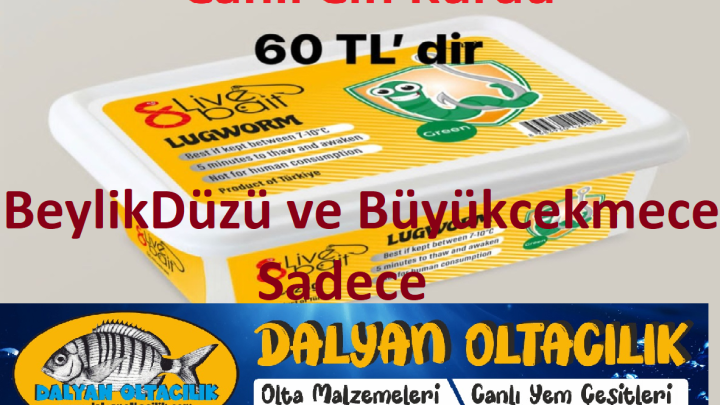 Lugworm Çin Kurdu paket adeti 6 ila 9 arası her paket 25 gr dır Çin Kurdu yaşama süresi 15-30 gün arasıdır Levrek,Karagöz ,Çupra , Mırmır,Granyoz,Sarıkulak,Sarıağız gibi balıkların yemidir