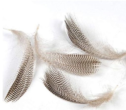 Lüfer çapari avcılığı ,Çinekop çapari avcılığı ,Çapari teknikleri ,Deniz balıkçılığı ,Balık avı ipuçları ,Doğal yemler ,Balıkçılık ekipmanları ,Deniz balıkçılığı teknikleri, Lüfer avı, Çinekop avı,