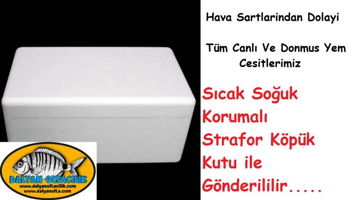 Canli yem servis,canli yem kurye,canli yem kargo,#canlıyemSilivriMerkez #canlıyemÇanta #canlıyemDeğirmenköy#canlıyemSelimpaşa #canlıyemBüyükçavuşlu#canlıyemOrtaköy #canlıyemKöşklüçeşme#canlıyemGümüşyaka #canlıyemMeşrutiyet #canlıyemDemirciler #canlıyemBeyciler #canlıyemBüyükçavuşlu #canlıyemBüyükçekmeceMerkez #canlıyemMimaroba #canlıyemTepecik #canlıyemCelaliye #canlıyemKumburgaz #canlıyemGürpınar #canlıyemYakuplu #canlıyemBüyükçavuşlu #canlıyemKaraağaç #canlıyemGüzelce