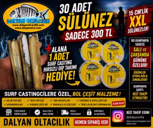 30 Adet 15 cm XXL Sülünez Sadece 300 TL