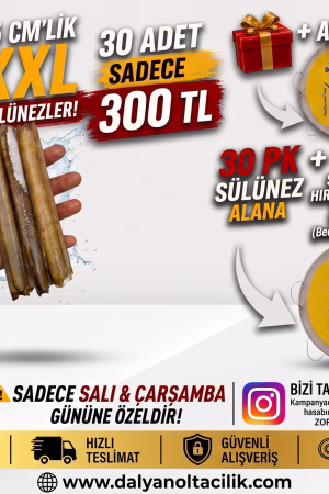 canlı sülünez, uygun canlı sülünez, taze sülünez, sülünez fiyatları, sülünez kampanya, canlı sülünez satışı, sülünez yem fiyatı, xxl sülünez, ucuz sülünez yemi, istanbul canlı yem, beylikdüzü canlı yem, paketlenmiş sülünez, çipura yemi sülünez, mırmır yemi sülünez, levrek canlı yem, surf casting yemleri, hazır dip takımı yemi, dalyan oltacılık canlı yem, sülünez siparişi, kargoyla canlı yem